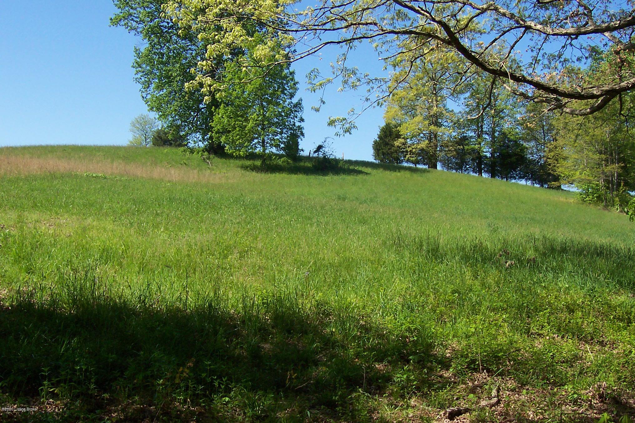 0 Skaggs Road Clarkson, KY 42726 - Photo 7 of 26 000_0075