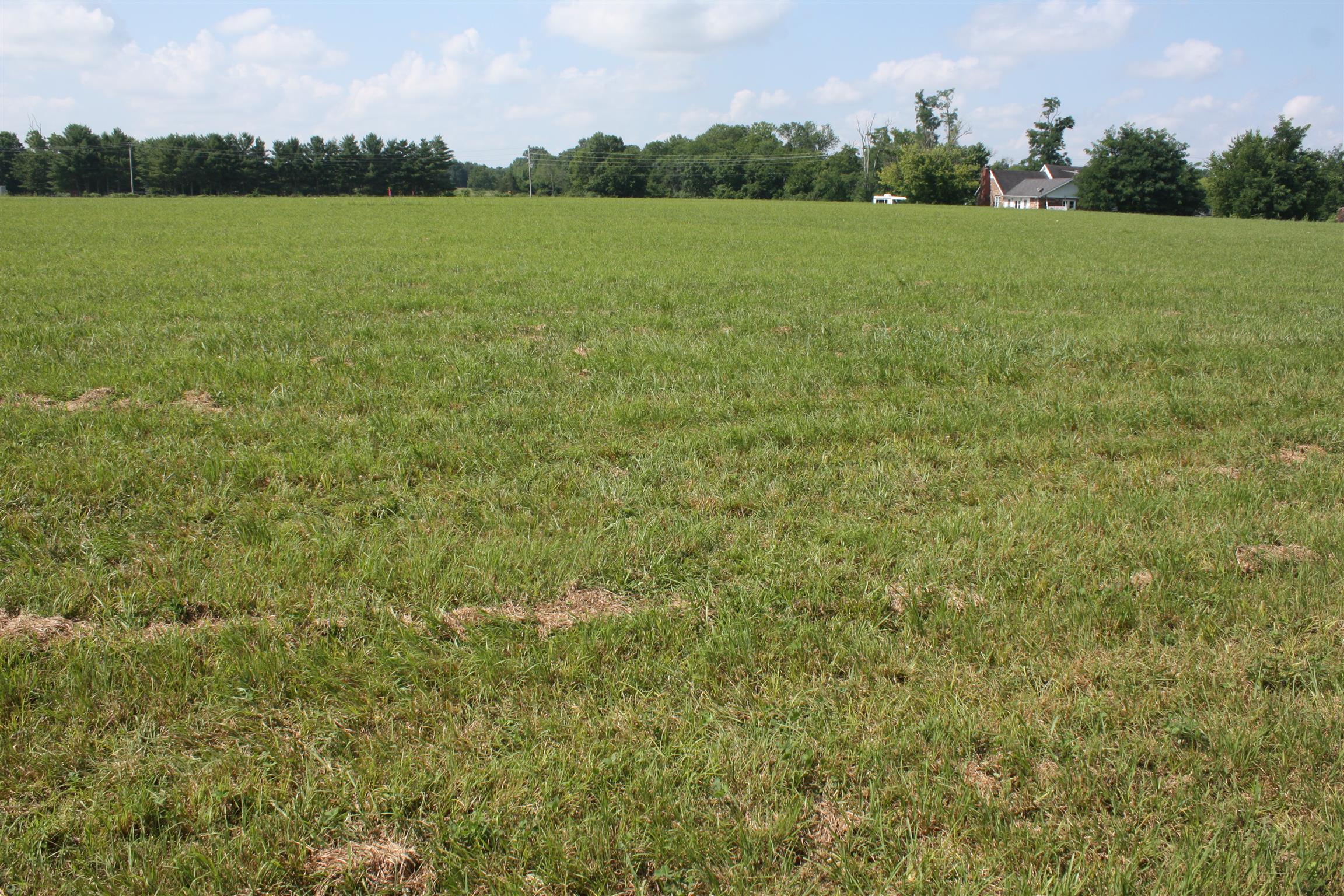 0 Walnut Grove Road Christiana, TN 37037 - Photo 8 of 16 Gallery Image 8
