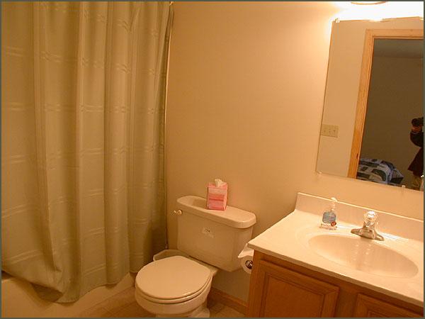 424 Ridge Road Pocono Lake, PA 18347 - Photo 6 of 10 Master Bathroom