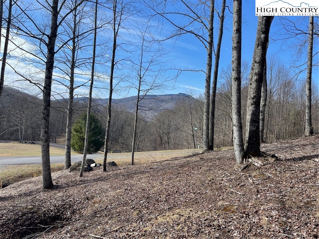 3 Jackson Ridge Road Boone, NC 28607 - Photo 2 of 5