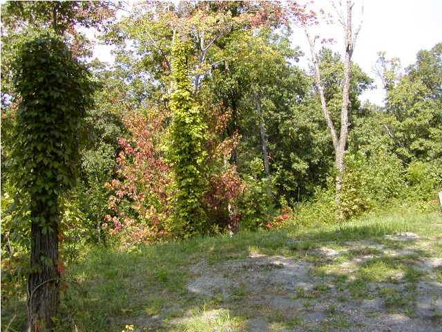 60 Sussex Road Dayton, TN 37321 - Photo 3 of 3 Additional Photo