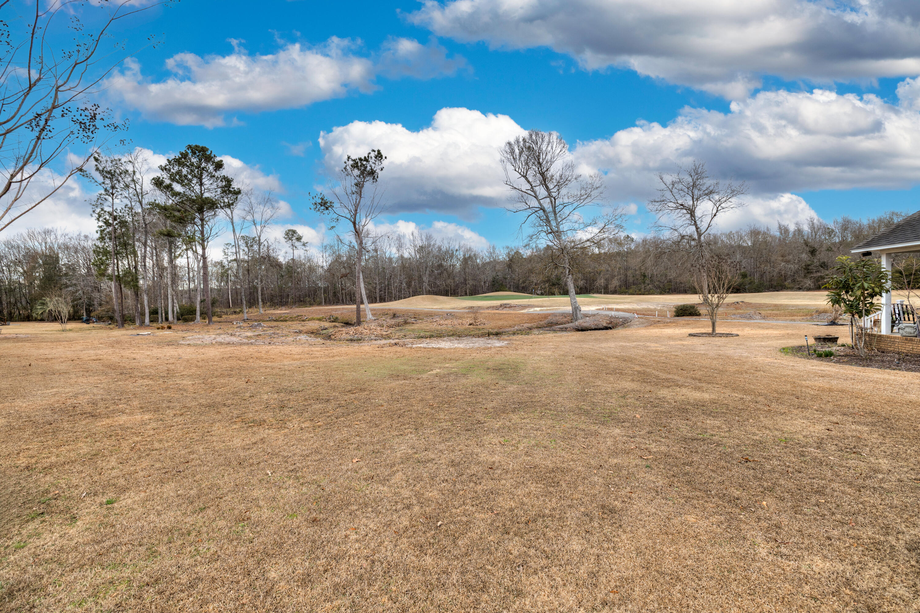 136 Ridge Lake Drive Manning, SC 29102 - Photo 35 of 65 VIEW FROM PATIO