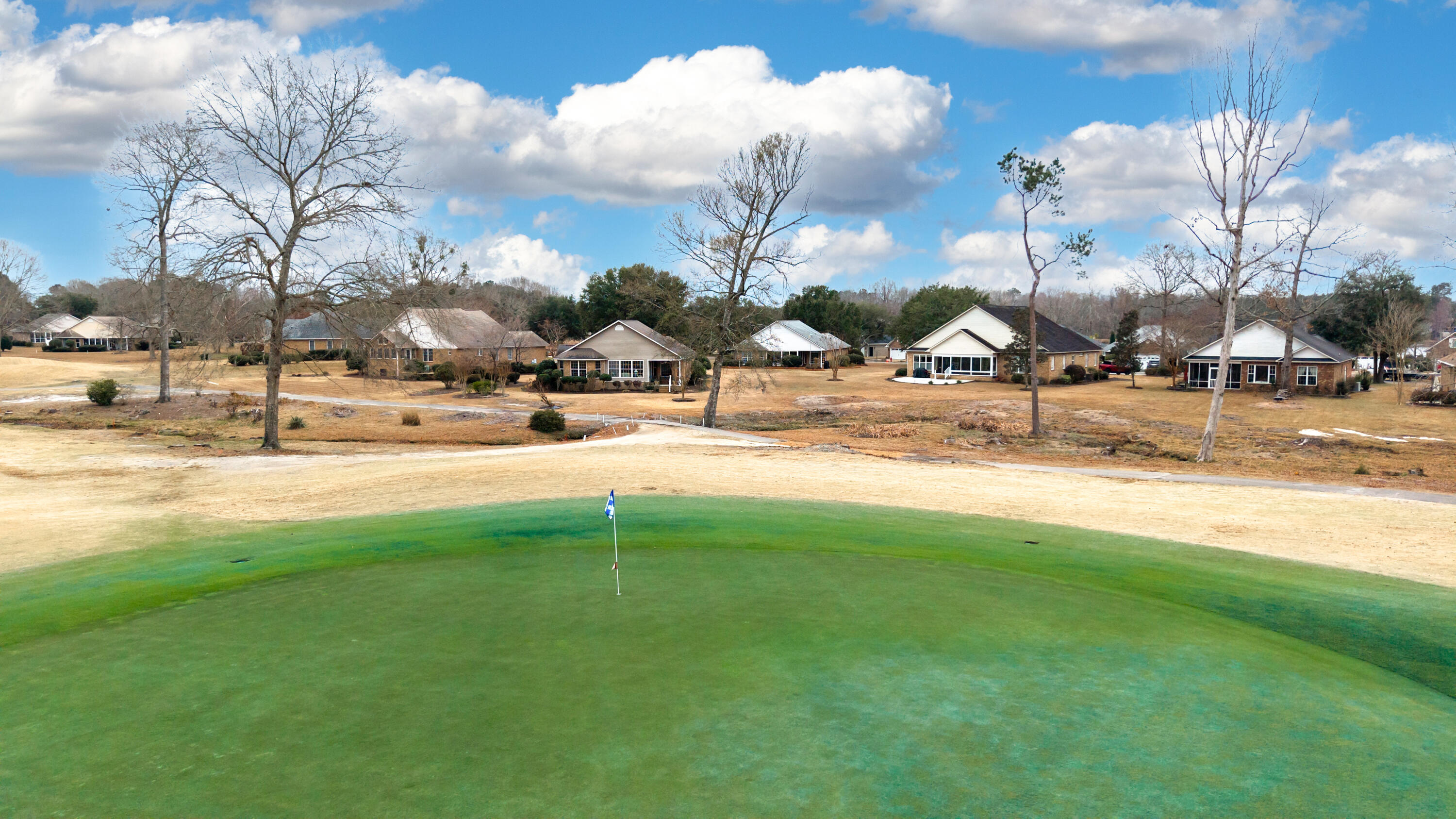 136 Ridge Lake Drive Manning, SC 29102 - Photo 43 of 65 THE PLAYERS COURSE