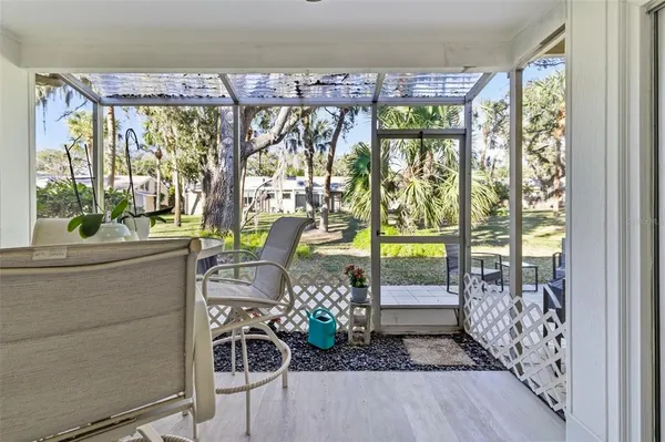 a view of a park with plants and trees