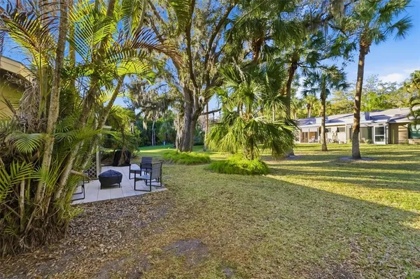 a view of a yard with plants and trees