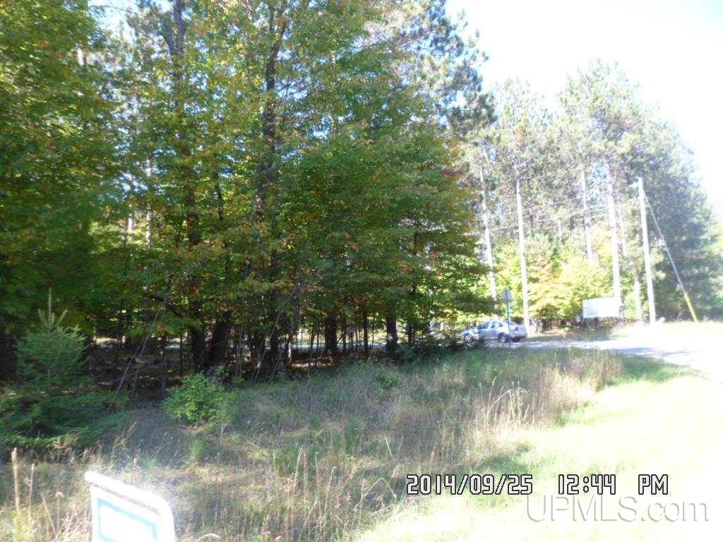 Tbd North Tbd N 75th Road Gladstone, MI 49837 - Photo 3 of 10