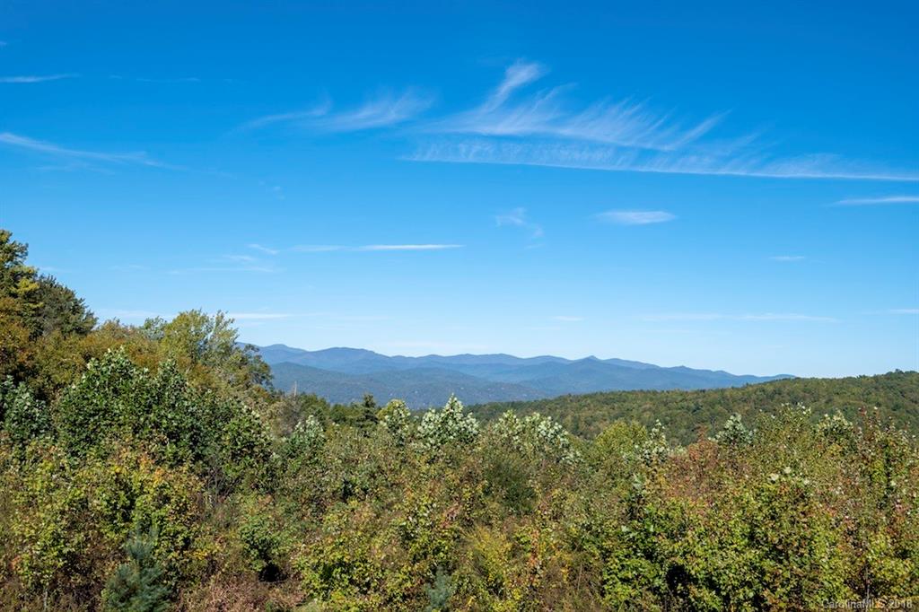 209 Walnut Ridge Road, Unit L209 205 Brevard, NC 28712 - Photo 21 of 28 Gallery Image 21