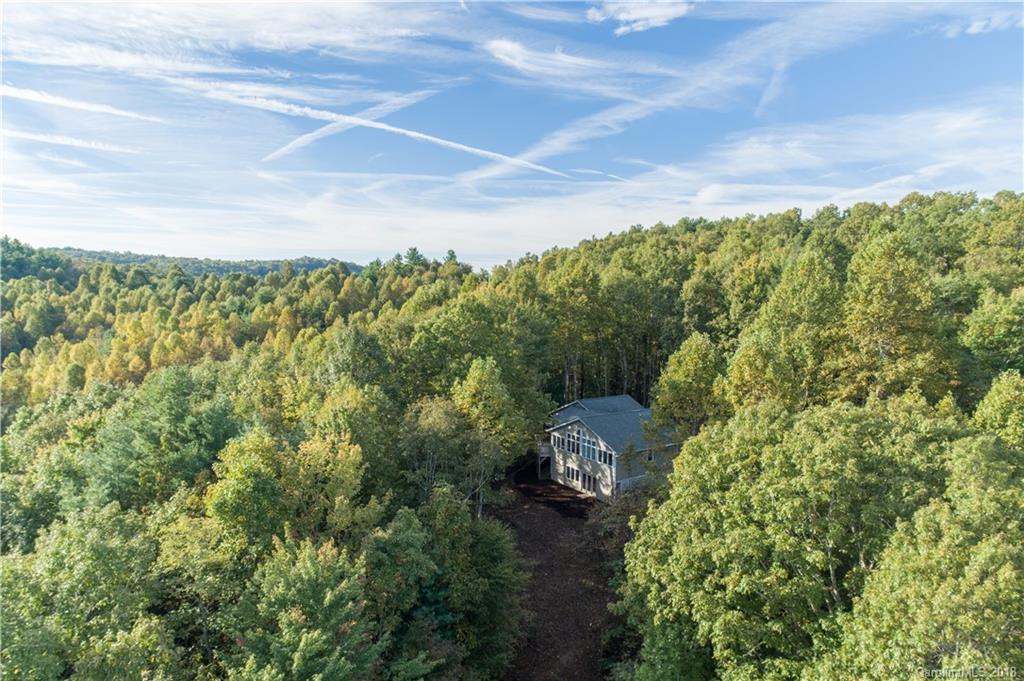209 Walnut Ridge Road, Unit L209 205 Brevard, NC 28712 - Photo 24 of 28 Gallery Image 24