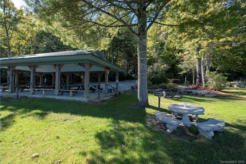 209 Walnut Ridge Road, Unit L209 205 Brevard, NC 28712 - Photo 25 of 28 Gallery Image 25