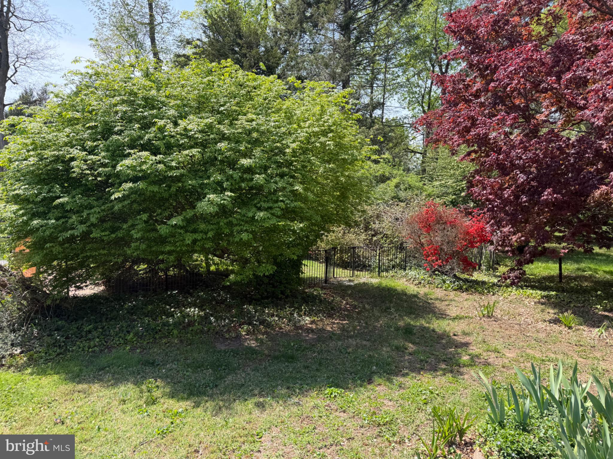 74 Black Rock Road Yardley, PA 19067 - Photo 19 of 21 Lush greenery in a tranquil garden.
