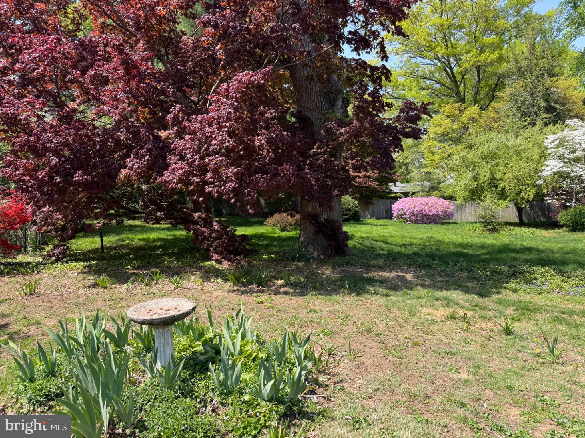 74 Black Rock Road Yardley, PA 19067 - Photo 3 of 21 Lush garden with vibrant blooms.