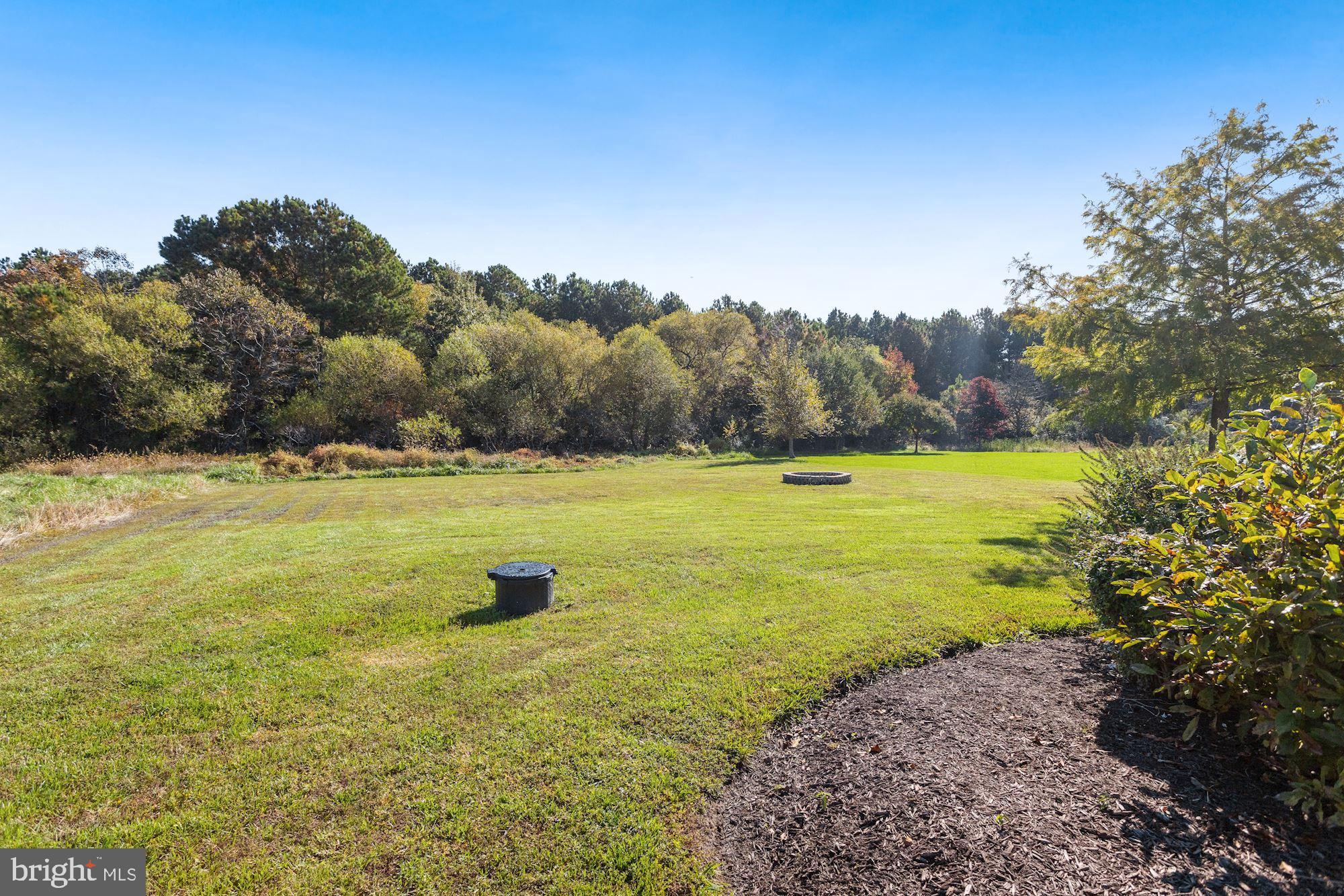21367 Island Club Road Tilghman, MD 21671 - Photo 30 of 30 Backyard
