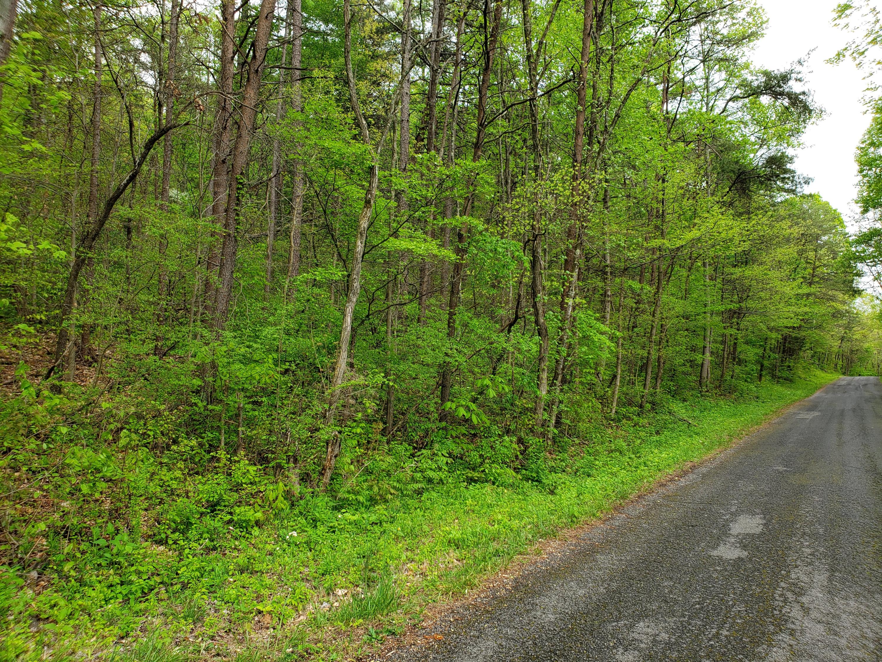 68 South Rushy Springs Road Talbott, TN 37877 - Photo 2 of 3 20200424_163031