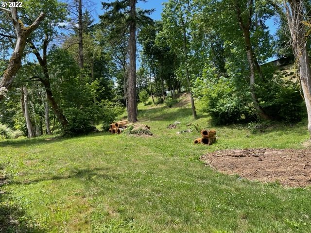 2214 Southwest 6th Avenue Camas, WA 98607 - Photo 2 of 13