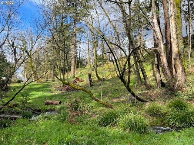 2214 Southwest 6th Avenue Camas, WA 98607 - Photo 3 of 13