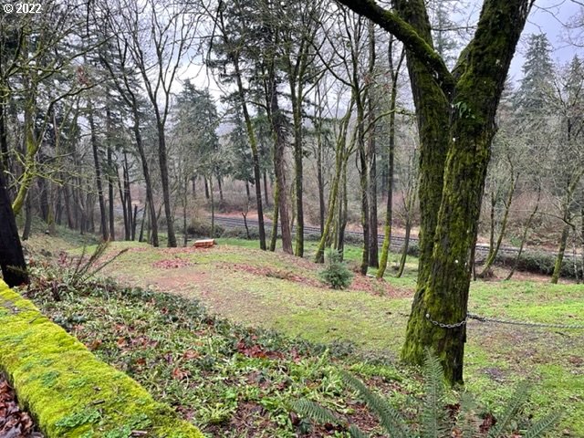 2214 Southwest 6th Avenue Camas, WA 98607 - Photo 4 of 13