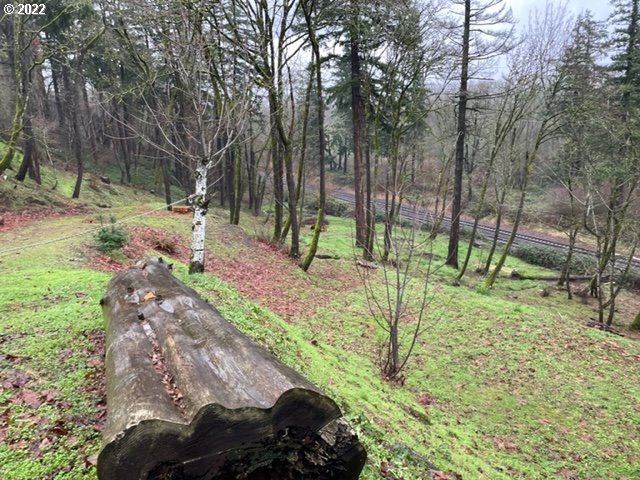 2214 Southwest 6th Avenue Camas, WA 98607 - Photo 5 of 13