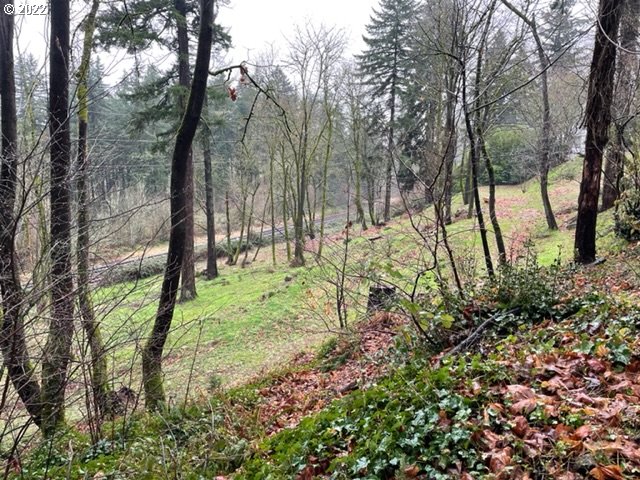 2214 Southwest 6th Avenue Camas, WA 98607 - Photo 6 of 13