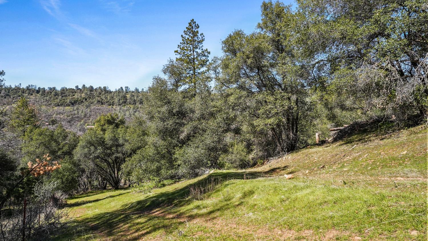 20275 Tuolumne Road North Tuolumne, CA 95379 - Photo 13 of 58 a view of a yard with wooden fence