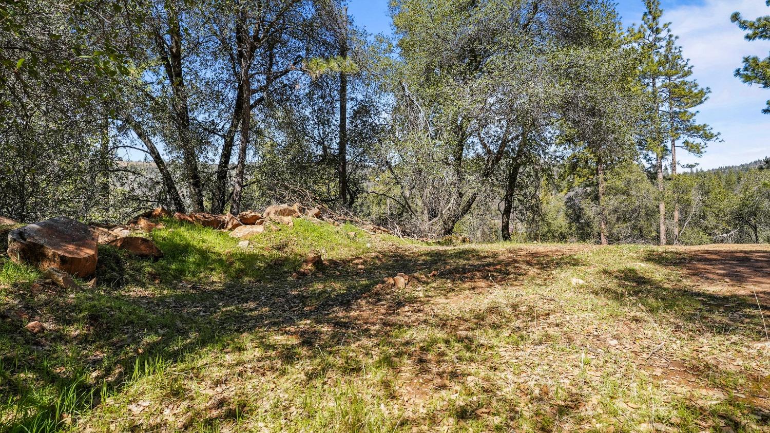20275 Tuolumne Road North Tuolumne, CA 95379 - Photo 15 of 58 a view of a yard with large trees
