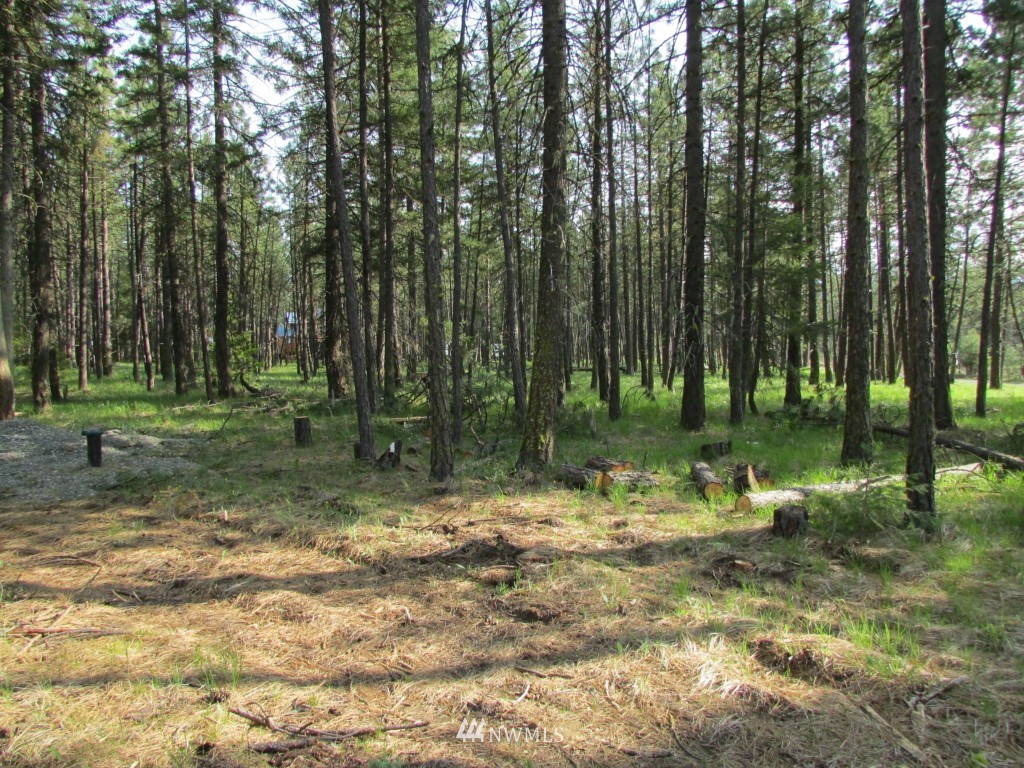 9 Winston Road Ronald, WA 98940 - Photo 9 of 16 Gallery Image 9