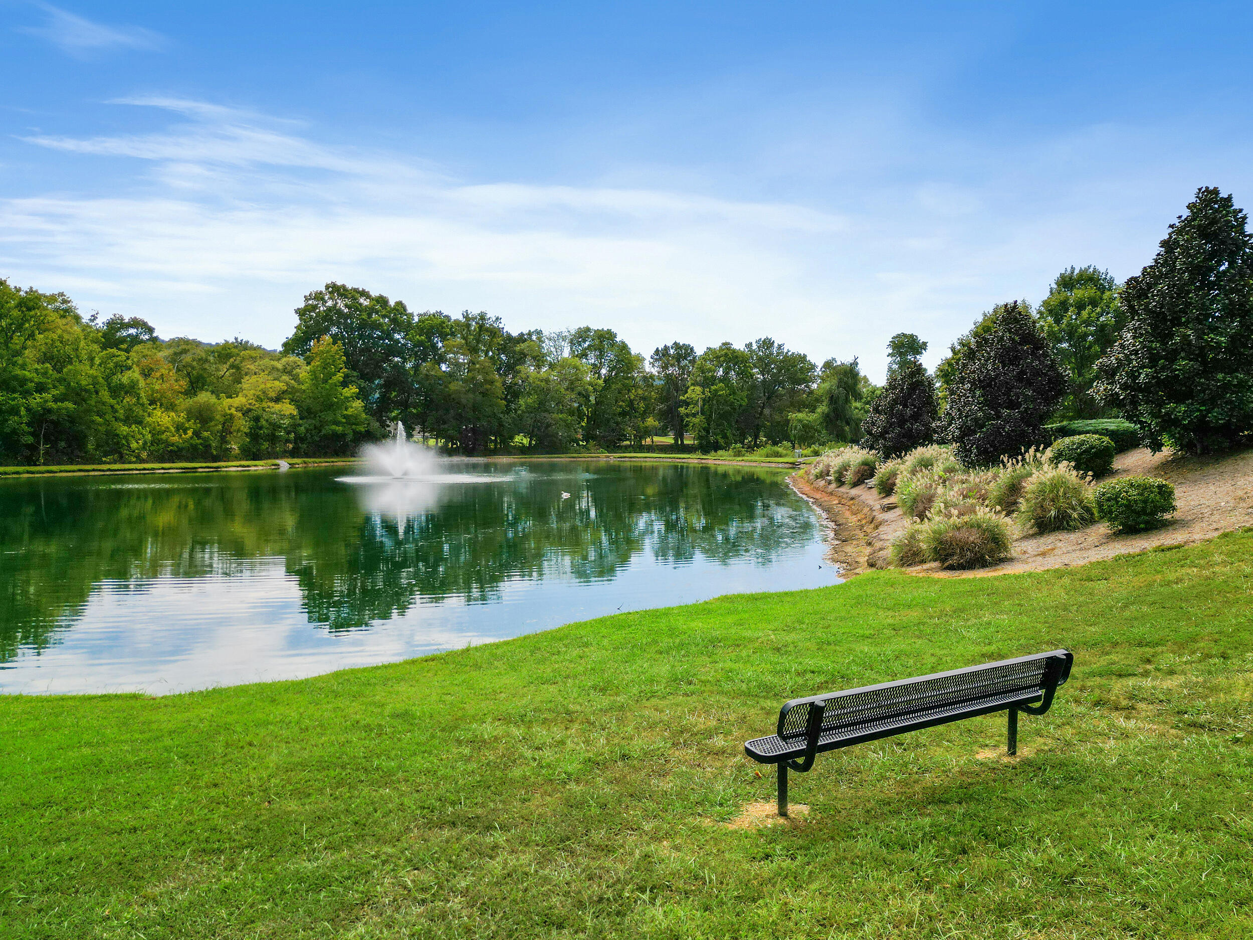 662 Wisley Way Ringgold, GA 30736 - Photo 49 of 52 dji_0002