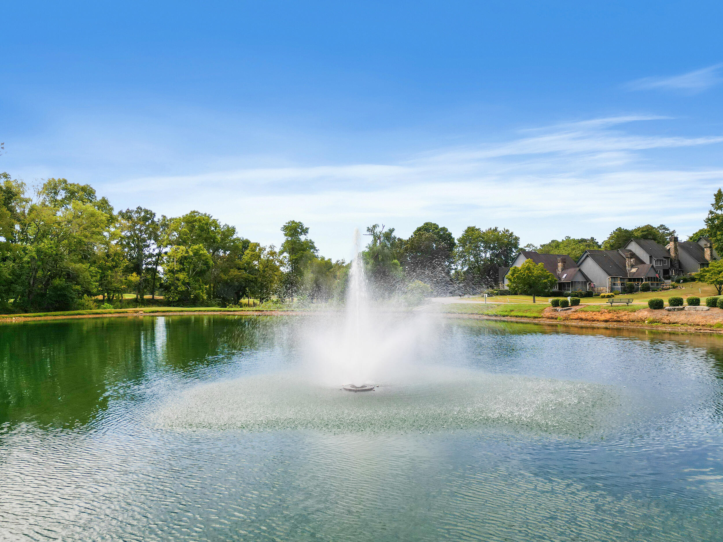 662 Wisley Way Ringgold, GA 30736 - Photo 50 of 52 dji_0003