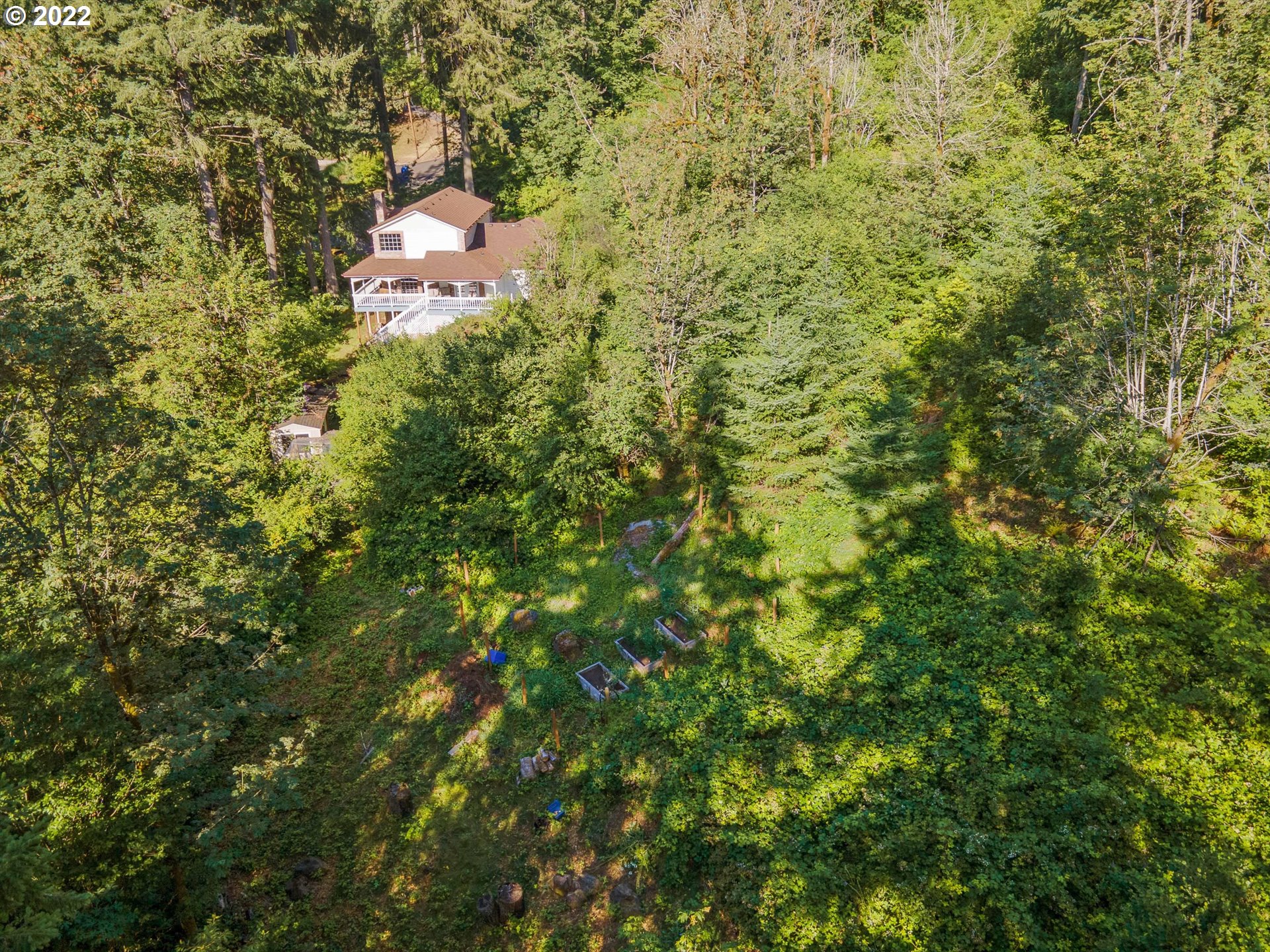 17212 Southeast Royer Road Damascus, OR 97089 - Photo 31 of 32 a view of a house with a tree