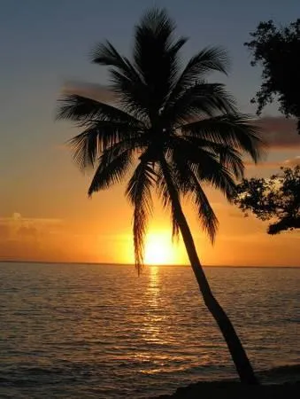 a kitchen with stainless steel appliances kitchen island granite countertop a sink and a stove