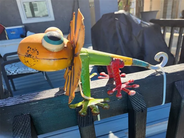 a view of a yard and potted plants