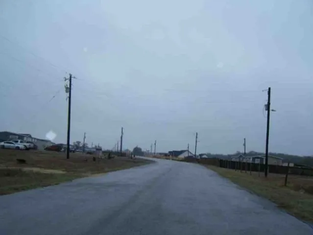 a view of a ocean with large trees