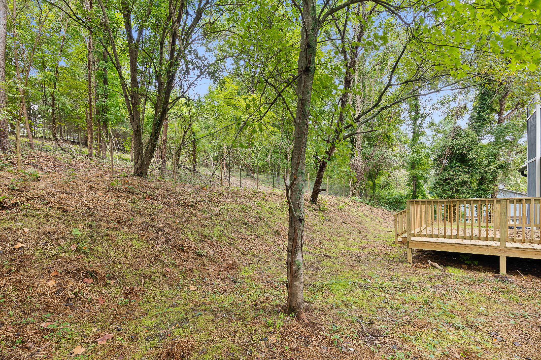 8819 Hidden Branches Road Harrison, TN 37341 - Photo 41 of 44 hiddenbranches-6