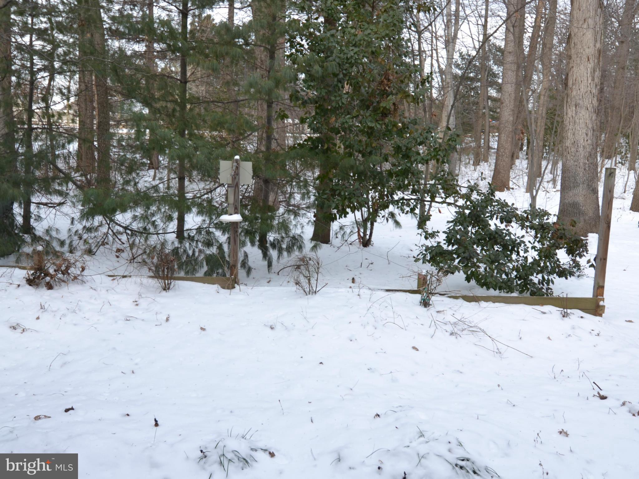 11634 Chapel Cross Way Reston, VA 20194 - Photo 2 of 30 a view of a yard covered in snow