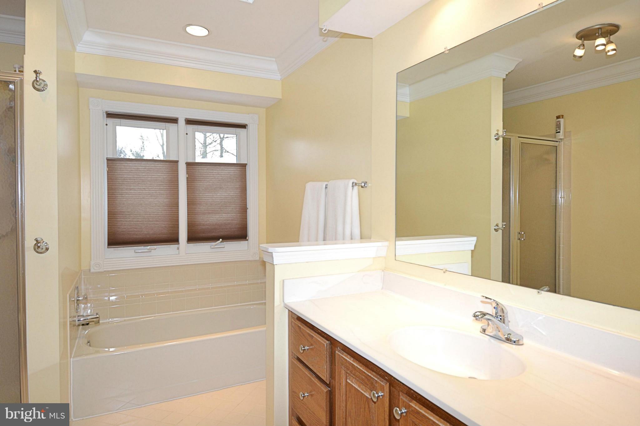 11634 Chapel Cross Way Reston, VA 20194 - Photo 16 of 30 a bathroom with a sink a shower and a mirror