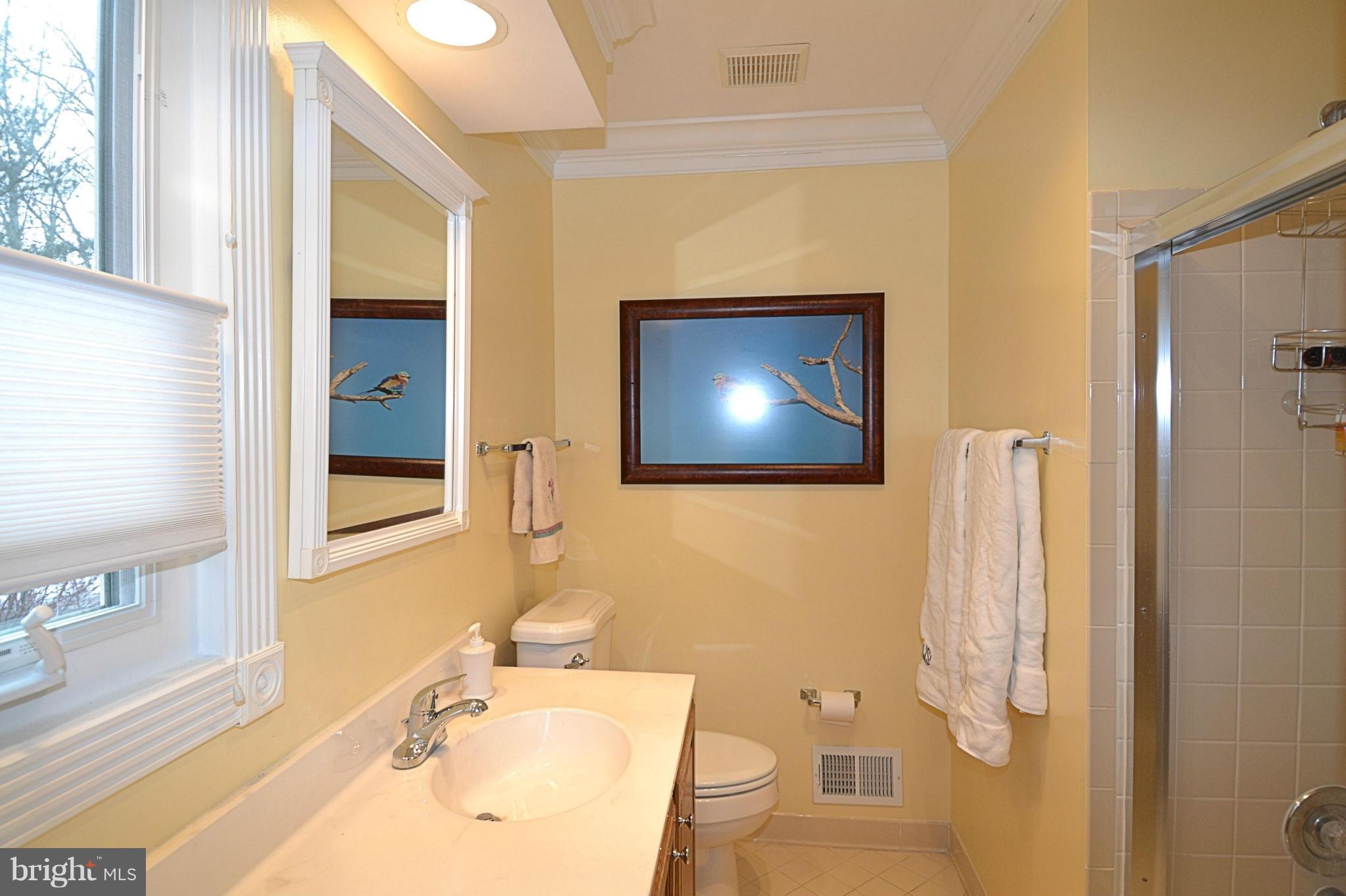 11634 Chapel Cross Way Reston, VA 20194 - Photo 20 of 30 a bathroom with a sink toilet and shower