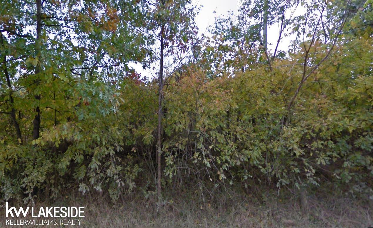 0 Townsend Road Leonard, MI 48367 - Photo 1 of 4 50142852-d603c6c7-5745-45d0-8f10-e6c058cbf03d.JPG