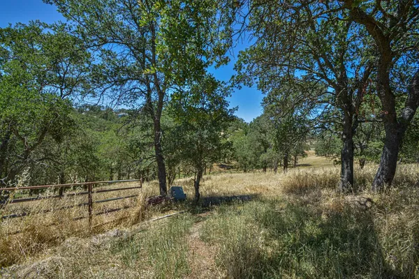 a view of backyard with green space