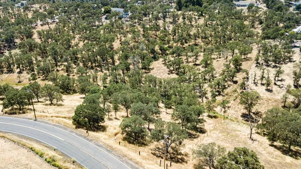 a view of a yard with a tree
