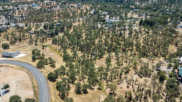a view of a forest with lots of trees