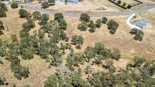 a view of a yard