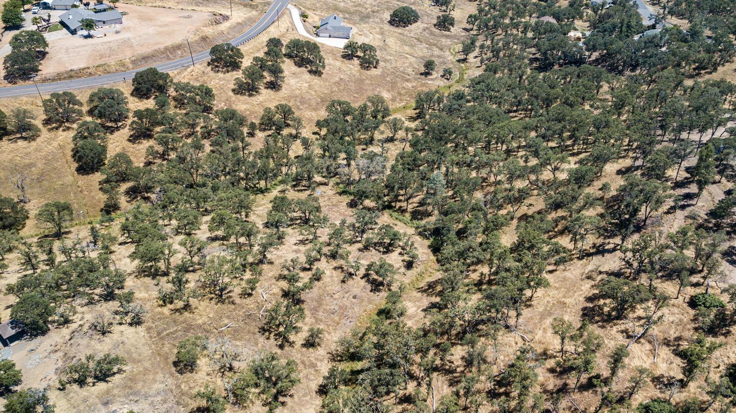 1405 Cheyenne Road Copperopolis, CA 95228 - Photo 7 of 7 a view of a yard