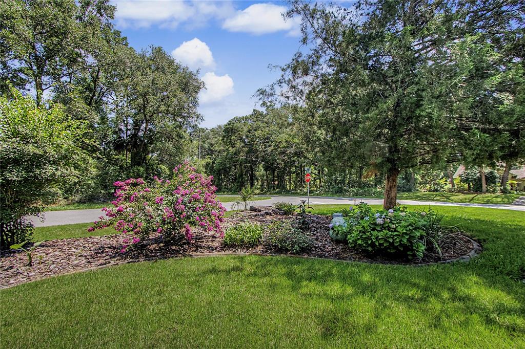 9726 Southwest 192nd Court Road Dunnellon, FL 34432 - Photo 42 of 82