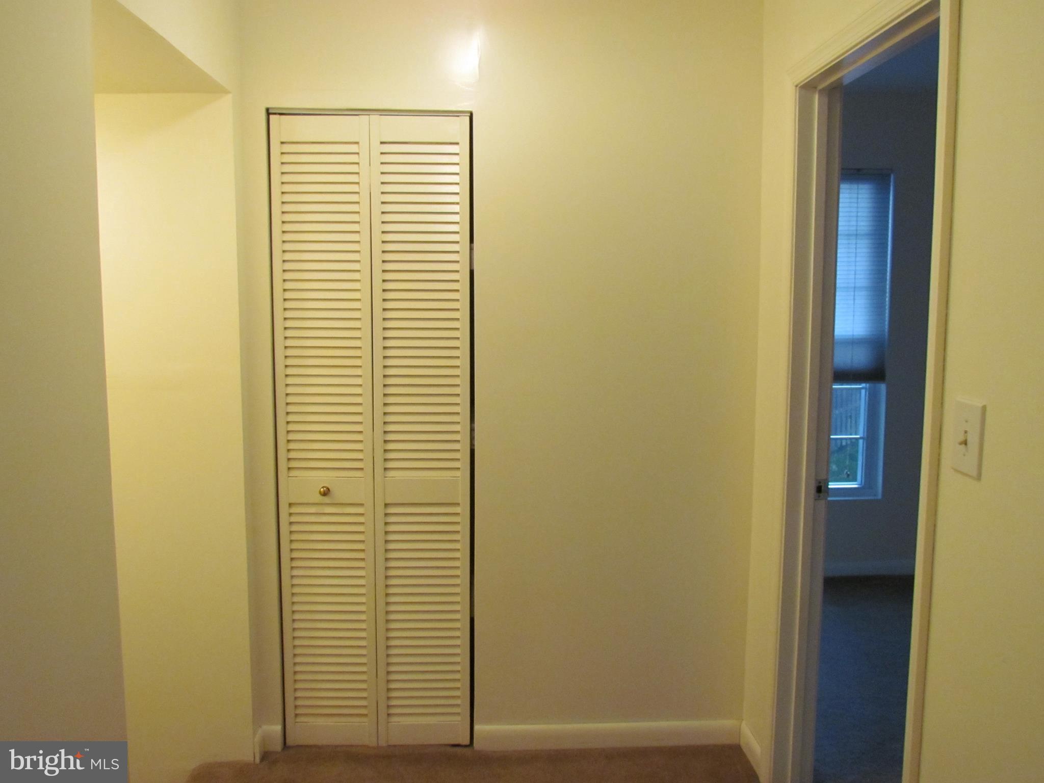 12923 Bogby Road Baltimore, MD 21220 - Photo 16 of 19 Hall area with storage