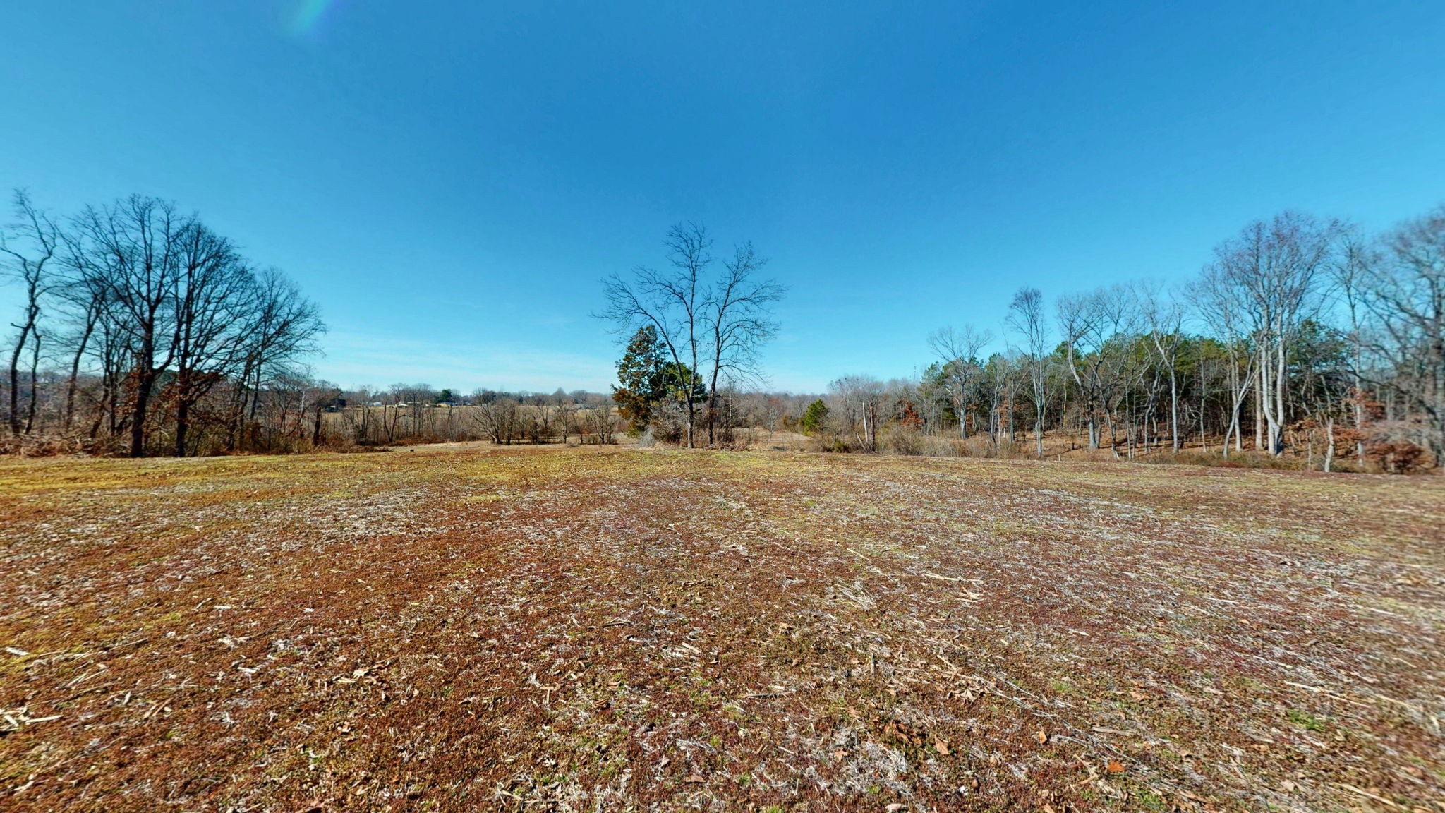 95 Old McKenzie Road McKenzie, TN 38201 - Photo 11 of 43