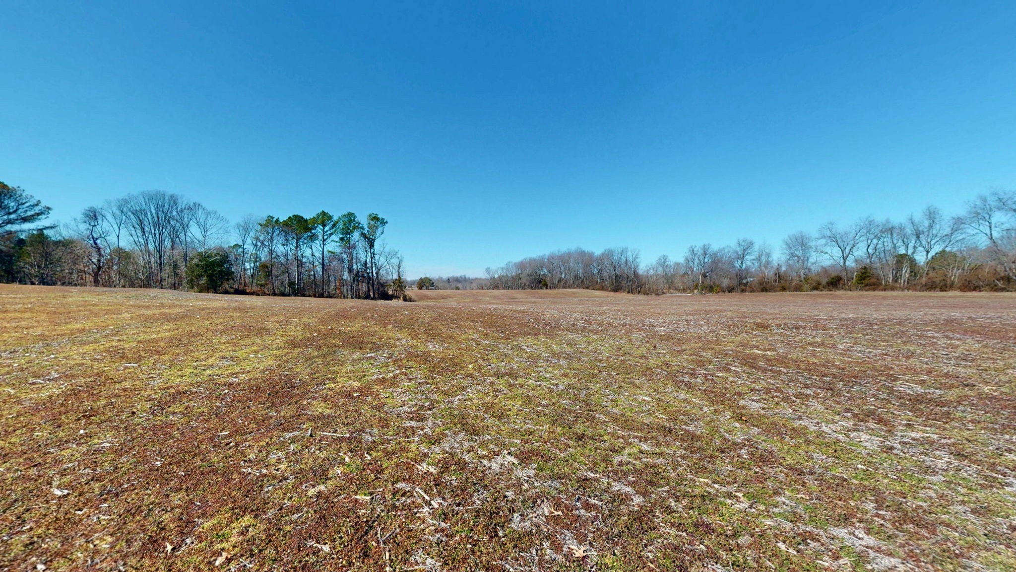 95 Old McKenzie Road McKenzie, TN 38201 - Photo 12 of 43