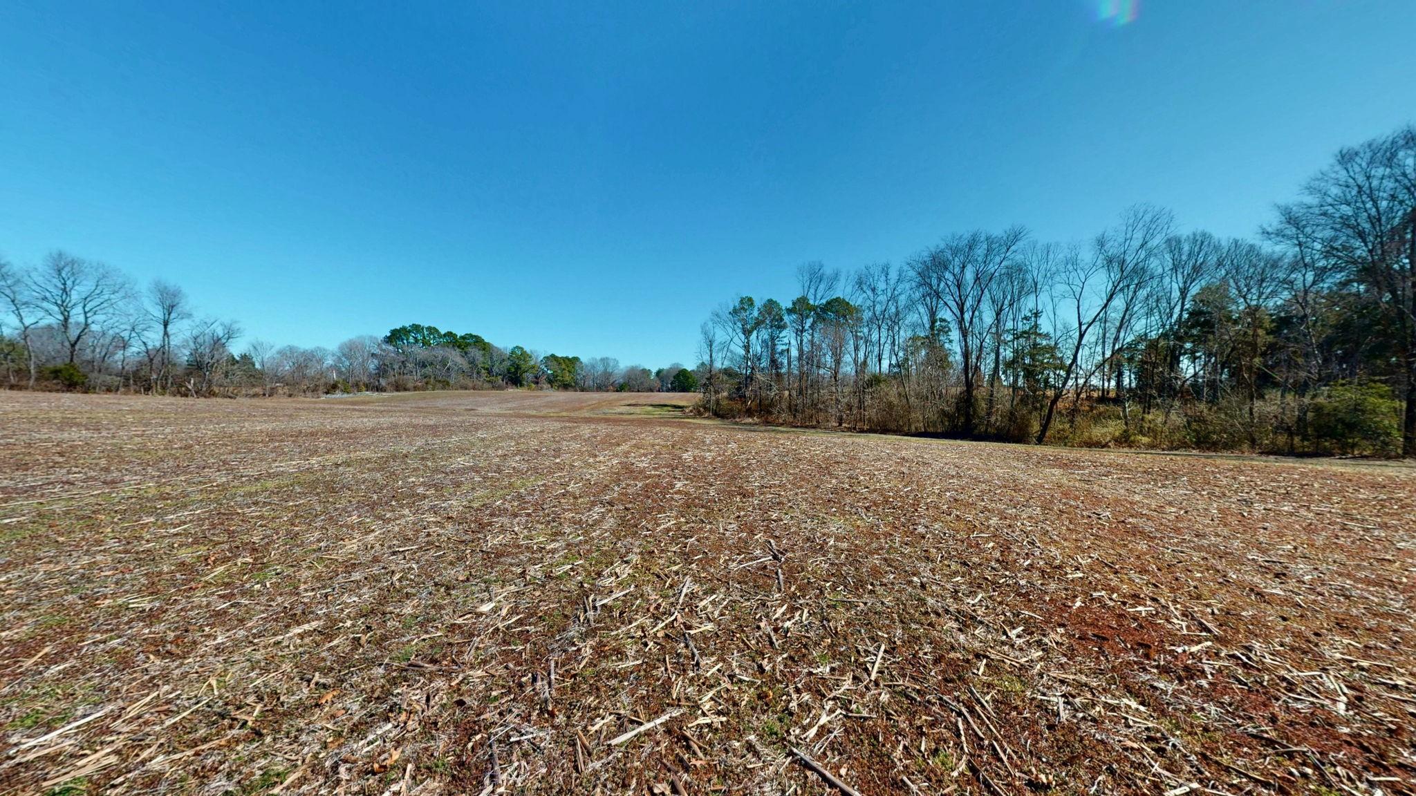 95 Old McKenzie Road McKenzie, TN 38201 - Photo 14 of 43