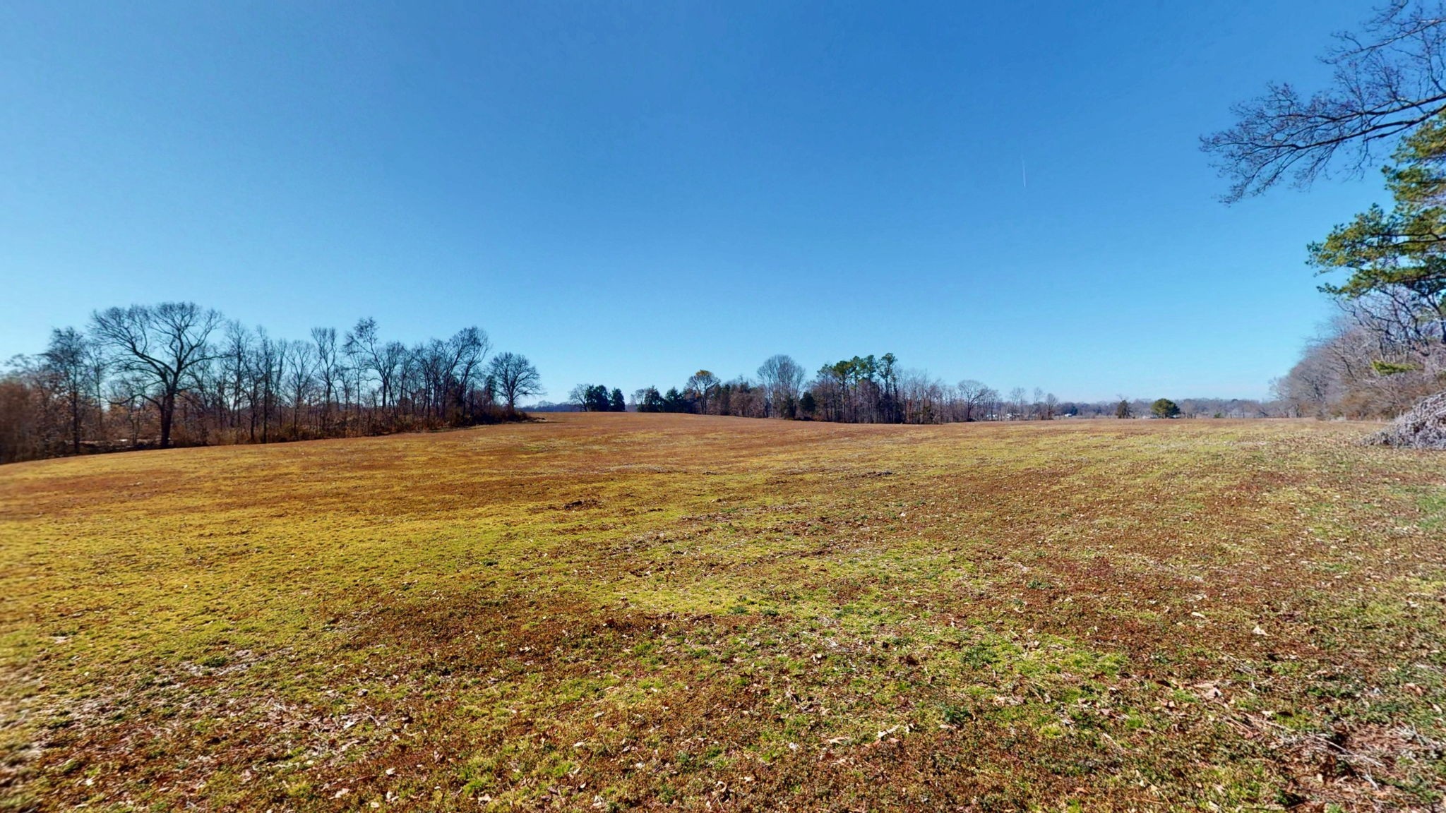 95 Old McKenzie Road McKenzie, TN 38201 - Photo 15 of 43