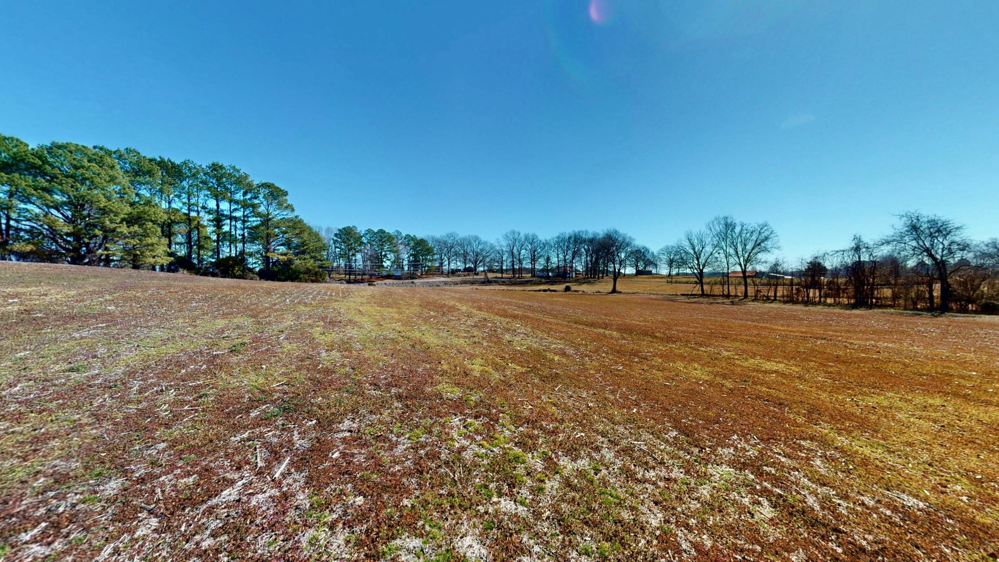 95 Old McKenzie Road McKenzie, TN 38201 - Photo 17 of 43