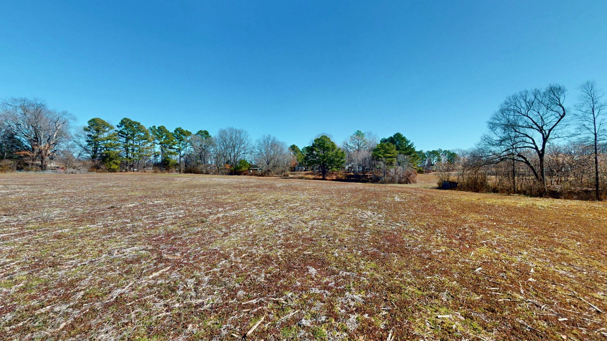 95 Old McKenzie Road McKenzie, TN 38201 - Photo 18 of 43