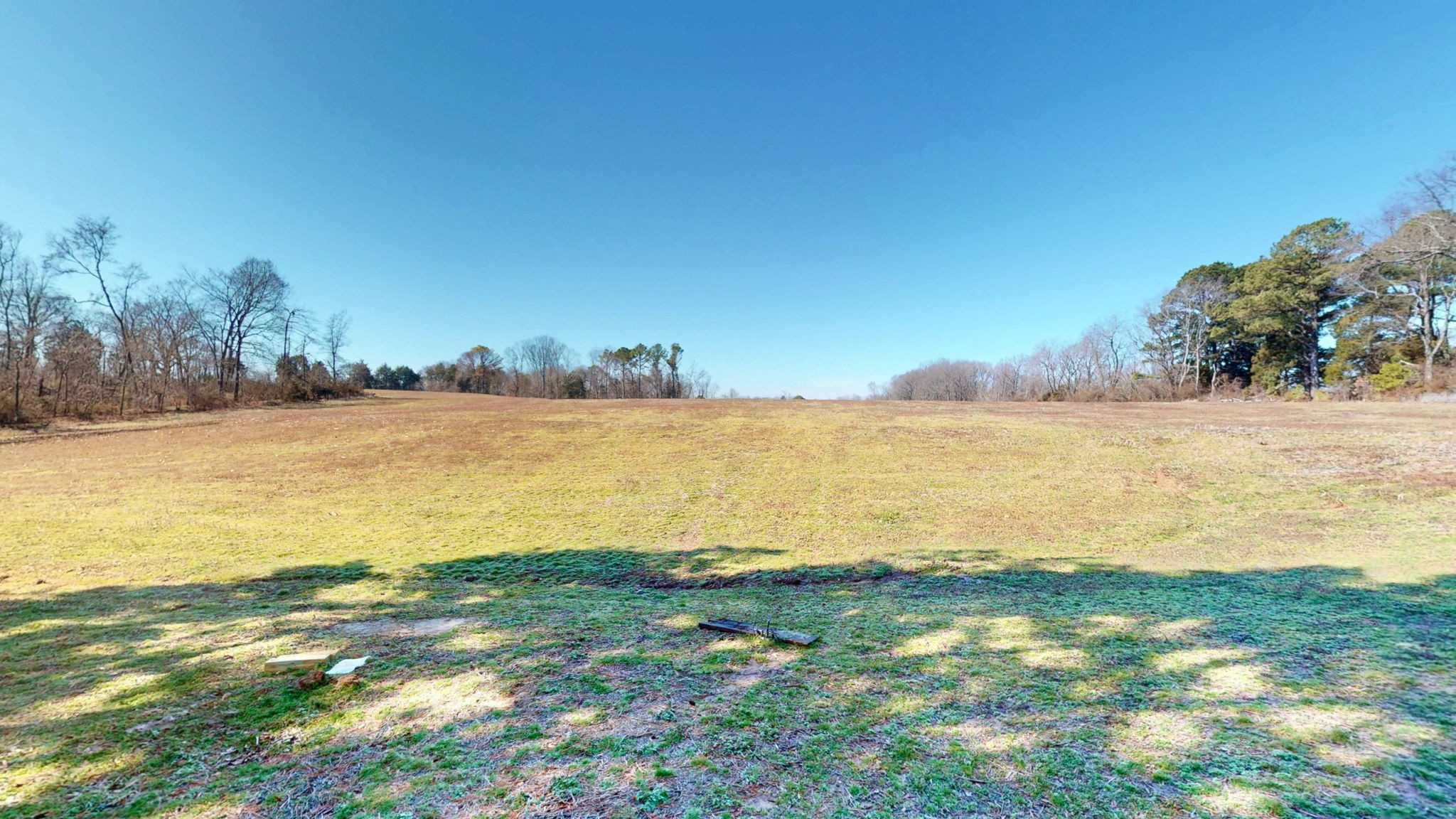 95 Old McKenzie Road McKenzie, TN 38201 - Photo 19 of 43